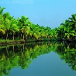 Kerala – God’s Own Country