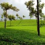 Munnar