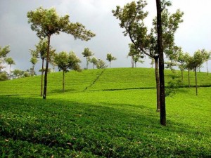 Munnar