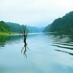  Cochin, Thekkady, Munnar, Alleppey, Kovalam 3 Nights / 4 Days Tour Packages