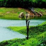 Kerala Tour Packages – 5 Nights / 6 Days