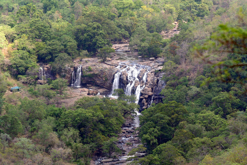 Chinnar Wildlife Sanctuary - Munnar, Kerala