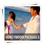 Honeymoon Tour Packages
