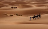 Rajasthan-Desert