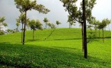 Munnar