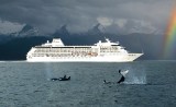 Book International Luxury Cruising Packages from India