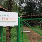 Great Hornbill Resort – Nilambur