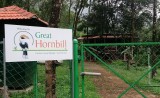 Book Great Hornbill Resort - Nilambur, Kerala