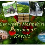 Magical Monsoon Packages in Kerala